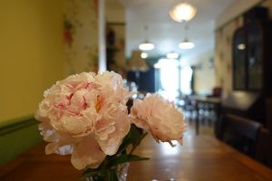 close up of a rose in a vase